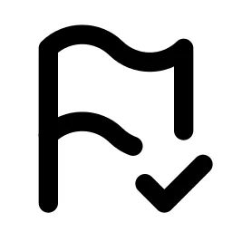 Flag Check Line Icon