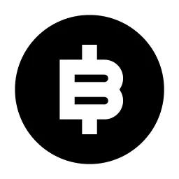 Bit Coin Fill Icon
