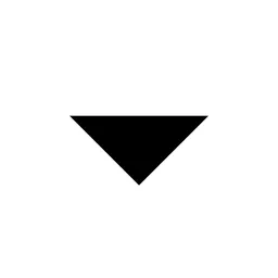 Arrow Down S Fill Icon