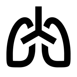 Lungs Line Icon