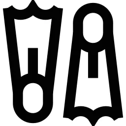 Flippers Icon