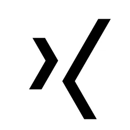 Xing Line Icon