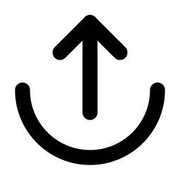 Arrow Down From Arc Line Icon