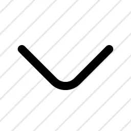 Chevron Bottom Icon