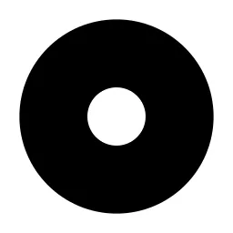 Record Circle Fill Icon