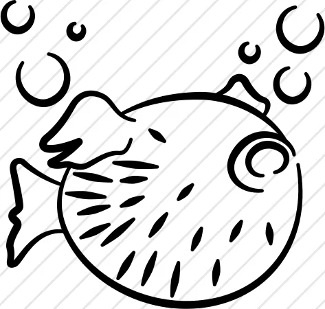 Puffer Fish