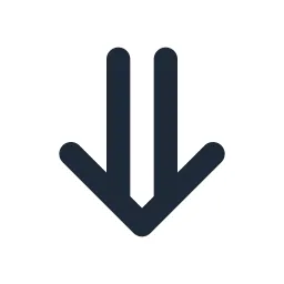 Arrow Double Bottom Line Icon