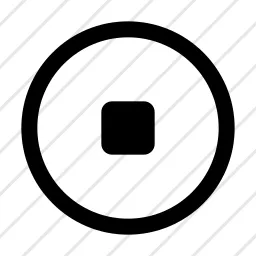 Stop Circle Icon