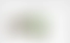Bloomwell Blog 03