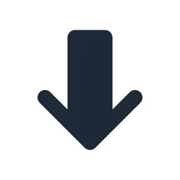 Arrow Double Bottom Solid Icon