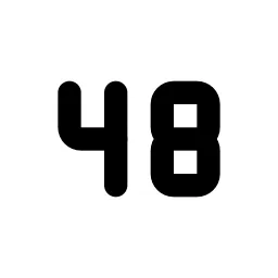 Number 48 Small Line Icon