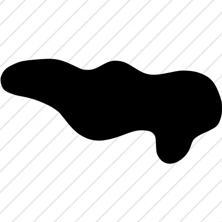 Shape 13