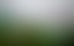 Cycle Header 02
