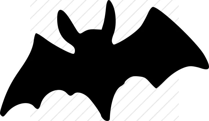 Bat