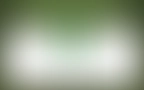 Bloomwell Footer 02