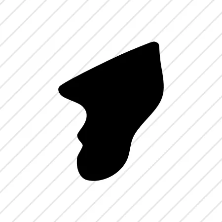 Shape 68