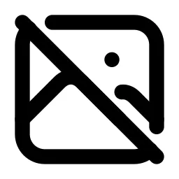 Photo Off Line Icon