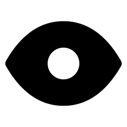Eye Icon