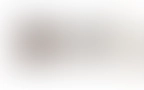 Blog 14
