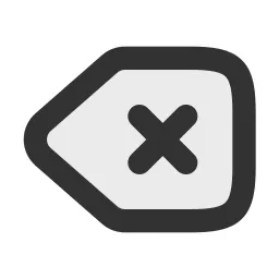 Backspace Duotone Icon