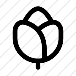 Rose Flower Romance Love Icon