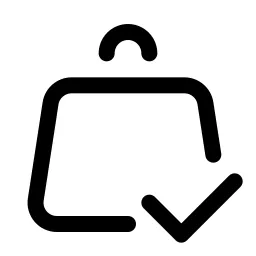 Shopping Bag Check Icon
