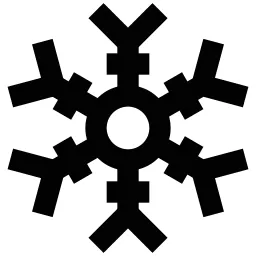 Winter Snowflake Icon