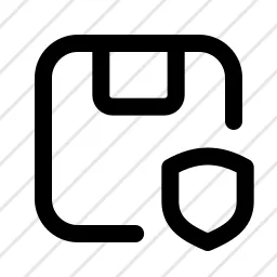 Package Security Delivery Icon