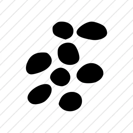 Shape 88