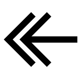 Double Arrow Left Icon