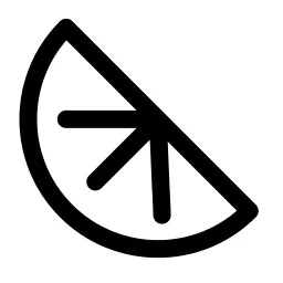 Orange Slice Alt Icon