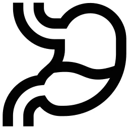 Stomach Icon