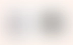 Blog 17