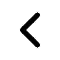Chevron Left Icon