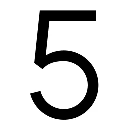 Number 5 Icon
