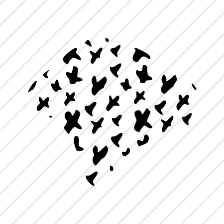 Shape 18