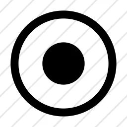 Record Icon