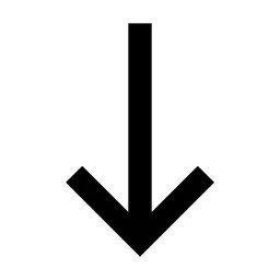 Arrow Down Long Line Icon