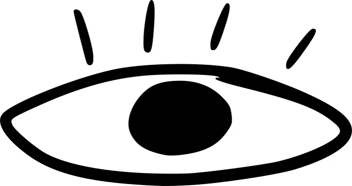 Eye