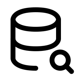 Database Search Icon