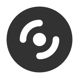 Disc Fill Icon