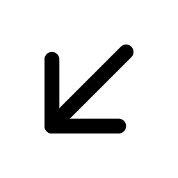 Arrow Down Left Line Icon