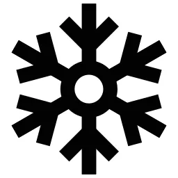 Cold Snowflake Icon