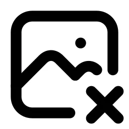 Photo X Line Icon