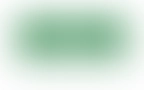 Bloomwell Feature 01