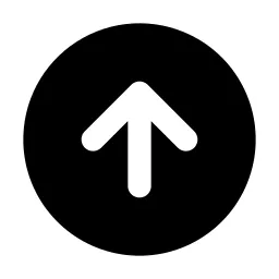 Circle Arrow Up Icon