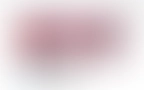 Shoop Header 04