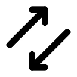 Arrows Double Ne Sw Line Icon