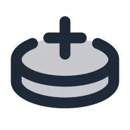 Coin Plus Duotone Icon