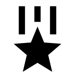 Medal 2 Fill Icon